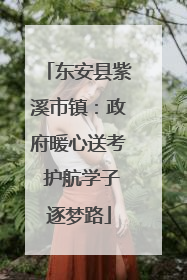 东安县紫溪市镇：政府暖心送考 护航学子逐梦路