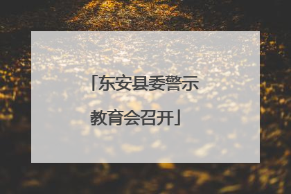 东安县委警示教育会召开