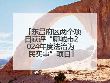 东昌府区两个项目获评“聊城市2024年度法治为民实事”项目