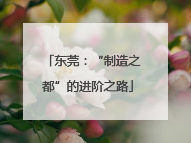 东莞：“制造之都”的进阶之路