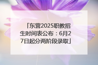 东营2025职教招生时间表公布：6月27日起分两阶段录取