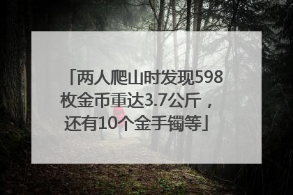 两人爬山时发现598枚金币重达3.7公斤，还有10个金手镯等