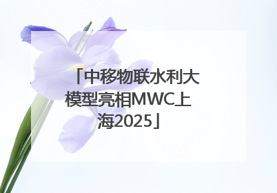 中移物联水利大模型亮相MWC上海2025