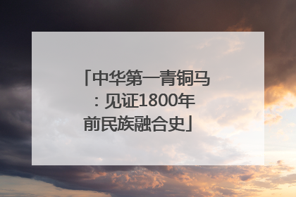 中华第一青铜马：见证1800年前民族融合史