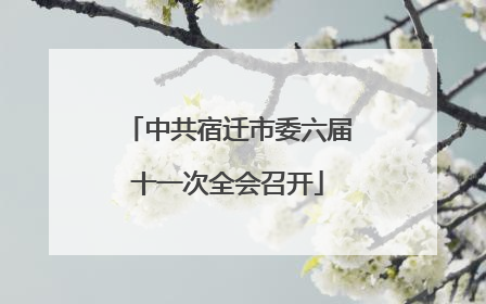 中共宿迁市委六届十一次全会召开