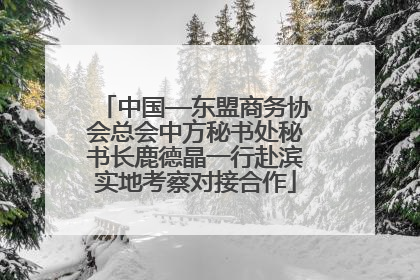 中国—东盟商务协会总会中方秘书处秘书长鹿德晶一行赴滨实地考察对接合作