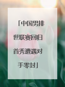 中国男排世联赛回归首秀遭遇对手零封
