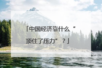 中国经济靠什么“顶住了压力”？