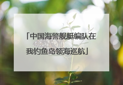 中国海警舰艇编队在我钓鱼岛领海巡航