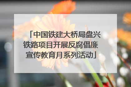 中国铁建大桥局盘兴铁路项目开展反腐倡廉宣传教育月系列活动