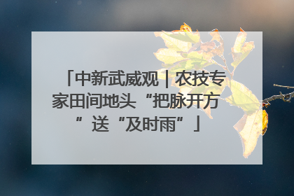 中新武威观｜农技专家田间地头“把脉开方”送“及时雨”