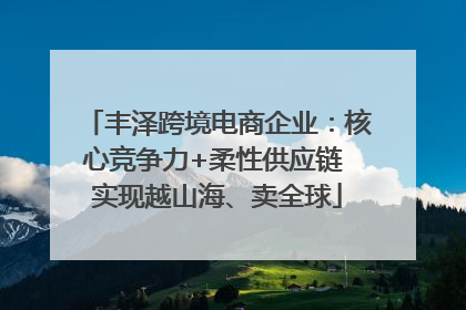 丰泽跨境电商企业：核心竞争力+柔性供应链 实现越山海、卖全球