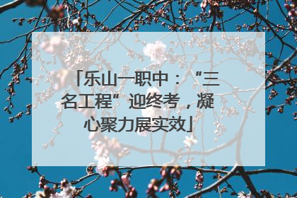 乐山一职中：“三名工程”迎终考，凝心聚力展实效