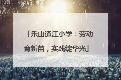 乐山通江小学：劳动育新苗，实践绽华光