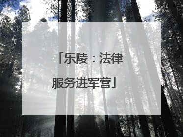 乐陵：法律服务进军营