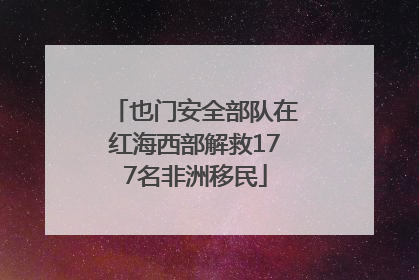 也门安全部队在红海西部解救177名非洲移民