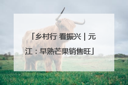 乡村行 看振兴｜元江：早熟芒果销售旺