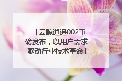 云鲸逍遥002重磅发布，以用户需求驱动行业技术革命