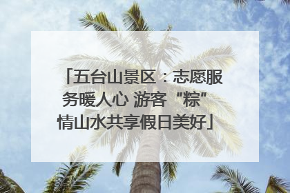五台山景区：志愿服务暖人心 游客“粽”情山水共享假日美好