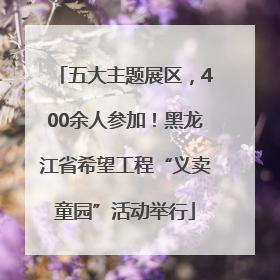 五大主题展区，400余人参加！黑龙江省希望工程“义卖童园”活动举行