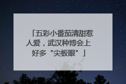 五彩小番茄清甜惹人爱，武汉种博会上好多“尖板眼”