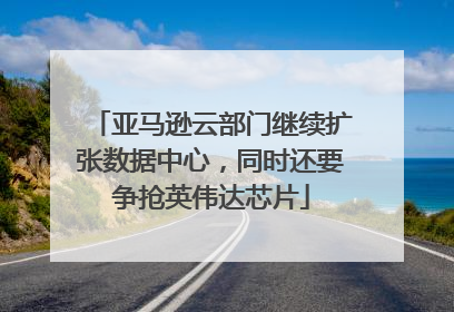 亚马逊云部门继续扩张数据中心，同时还要争抢英伟达芯片