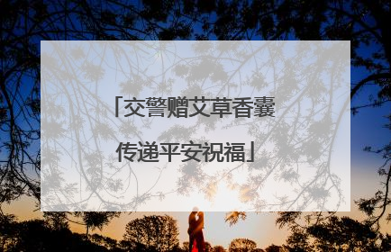 交警赠艾草香囊 传递平安祝福