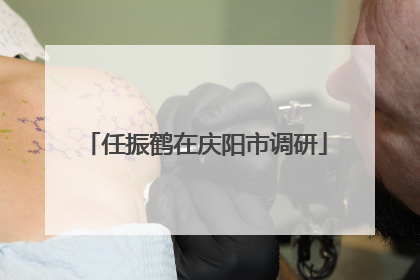 任振鹤在庆阳市调研