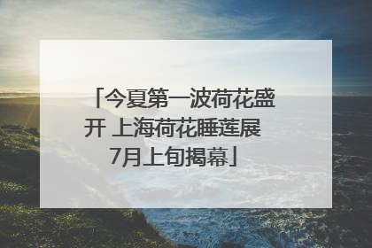 今夏第一波荷花盛开 上海荷花睡莲展7月上旬揭幕
