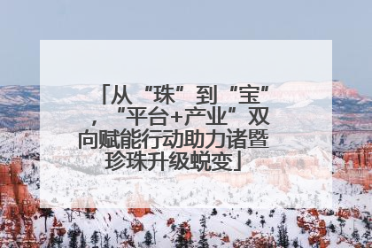 从“珠”到“宝”，“平台+产业”双向赋能行动助力诸暨珍珠升级蜕变