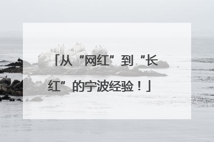 从“网红”到“长红”的宁波经验！
