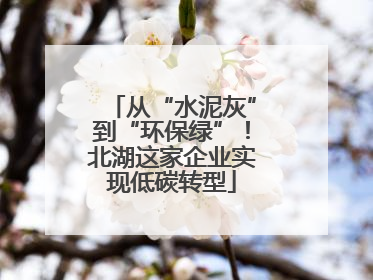 从“水泥灰”到“环保绿”！北湖这家企业实现低碳转型