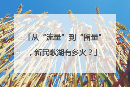 从“流量”到“留量”，新民歌湖有多火？