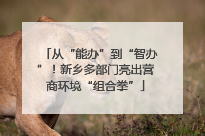 从“能办”到“智办”！新乡多部门亮出营商环境“组合拳”