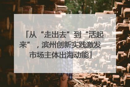 从“走出去”到“活起来”，滨州创新实践激发市场主体出海动能