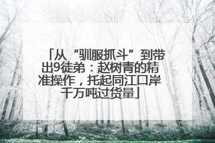 从“驯服抓斗”到带出9徒弟：赵树青的精准操作，托起同江口岸千万吨过货量