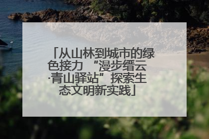 从山林到城市的绿色接力 “漫步缙云·青山驿站”探索生态文明新实践