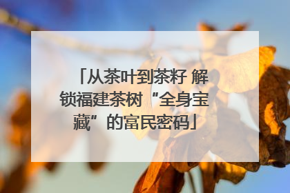 从茶叶到茶籽 解锁福建茶树“全身宝藏”的富民密码