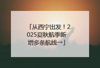 从西宁出发！2025夏秋航季新增多条航线→