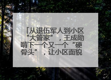 从退伍军人到小区“大管家”，王成勋啃下一个又一个“硬骨头”，让小区面貌焕然一新
