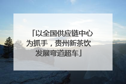 以全国供应链中心为抓手，贵州新茶饮发展弯道超车