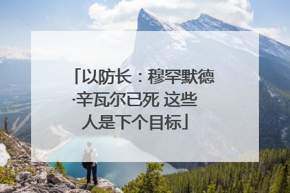 以防长：穆罕默德·辛瓦尔已死 这些人是下个目标