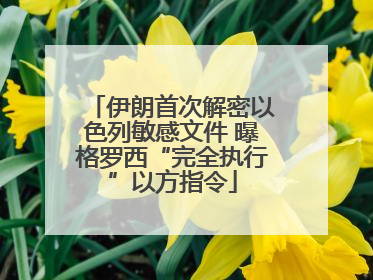 伊朗首次解密以色列敏感文件 曝格罗西“完全执行”以方指令