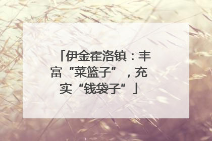 伊金霍洛镇：丰富“菜篮子”，充实“钱袋子”