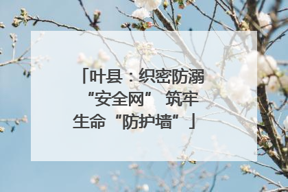 叶县：织密防溺“安全网” 筑牢生命“防护墙”