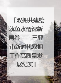 双拥共建绘就鱼水情深新画卷——三亚市新时代双拥工作高质量发展纪实
