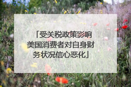 受关税政策影响 美国消费者对自身财务状况信心恶化