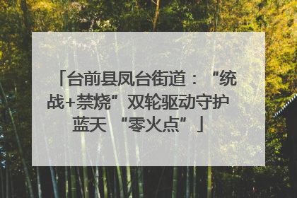 台前县凤台街道：“统战+禁烧”双轮驱动守护蓝天 “零火点”