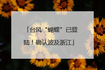 台风“蝴蝶”已登陆！确认波及浙江