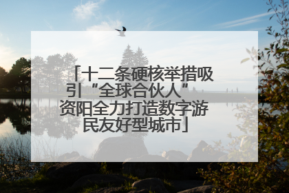 十二条硬核举措吸引“全球合伙人” 资阳全力打造数字游民友好型城市